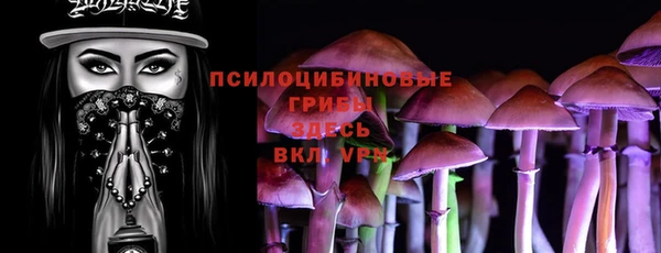 герыч Верхний Тагил