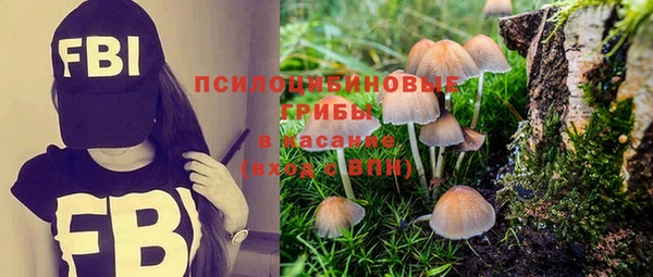 метамфетамин Богородицк