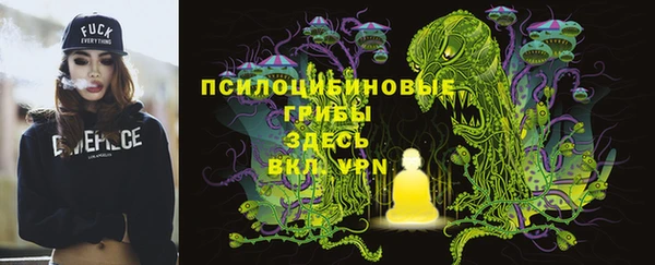 тгк Волосово