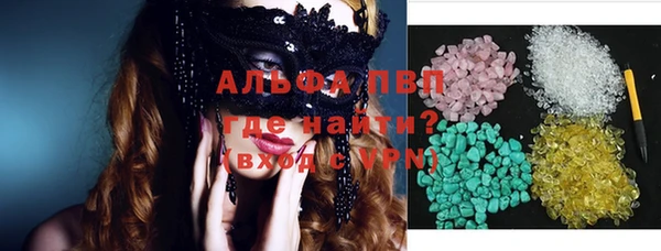 стафф Тавда